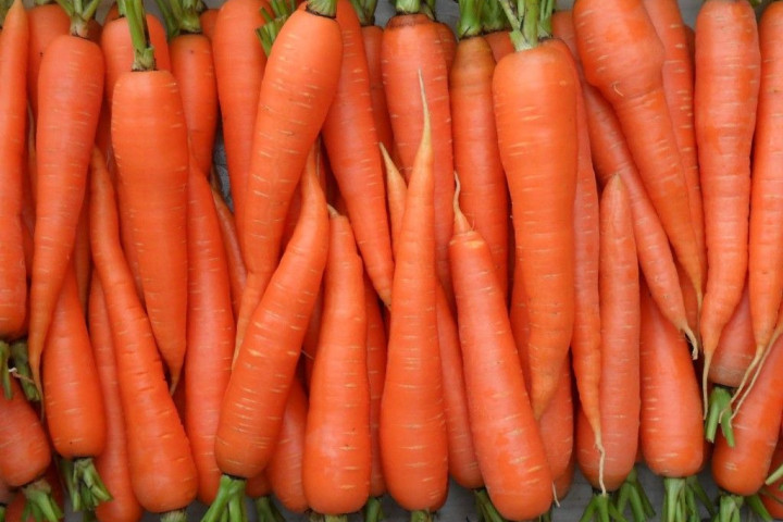 В августе-сентябре Узбекистан активно импортировал морковь