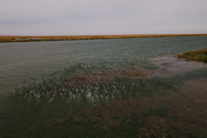 В Казахстане почти на 100 процентов выполнили план подачи воды в Северный Арал