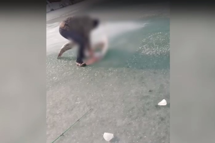 В Джизакской области браконьеры убили краснокнижную птицу