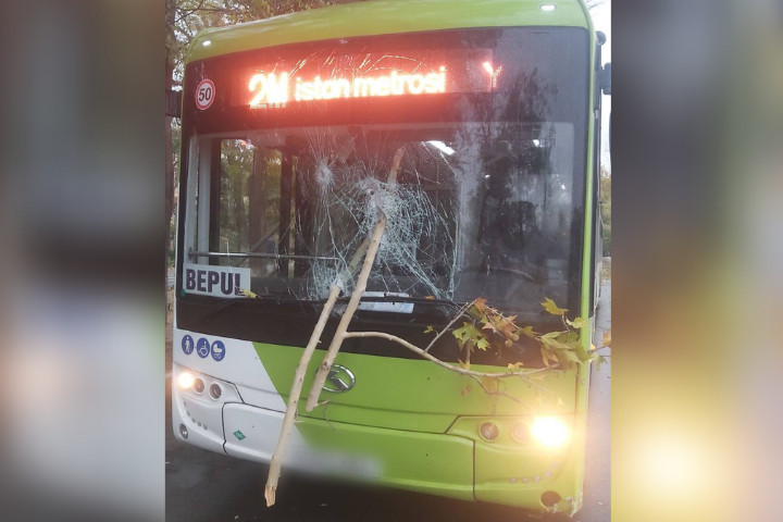 В Ташкенте дерево пробило лобовое стекло автобуса. Сколько целых осталось из тысячи?