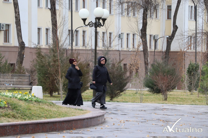 Переменная облачность, без осадков, туман. Узгидромет опубликовал прогноз погоды на ближайшие дни