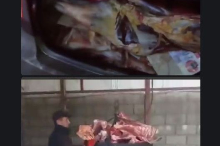 Злоумышленники пытались ввезти 500 кг испорченного мяса в Самарканд