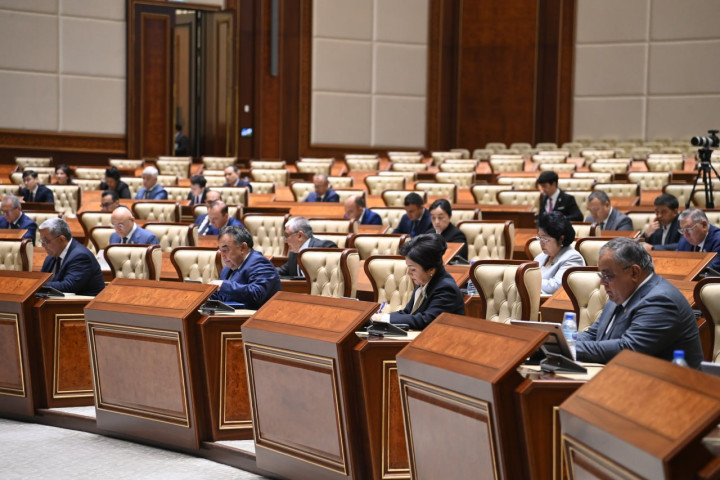 Сенат: Штрафы за вырубку и повреждение деревьев будут ужесточены