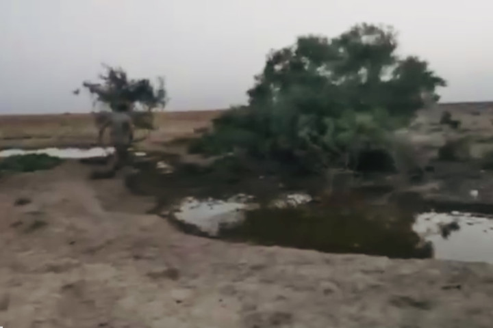 В Бухарской области ранен экоинспектор