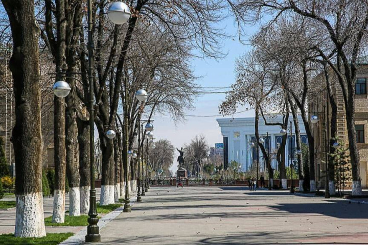 Какая погода ждет узбекистанцев на выходных?