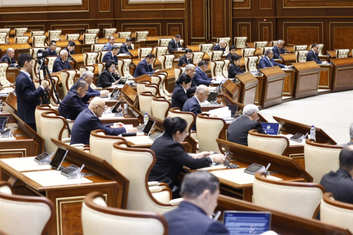 Сенат направил запрос Кабмину по защите охраняемых природных территорий