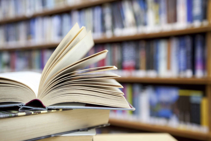В новом учебном году два школьных предмета будут преподаваться по Кембриджским учебникам и методикам