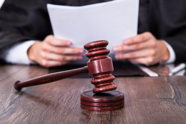 В Намангане мужчину приговорили к двум годам ограничения свободы за вырубку многолетних деревьев
