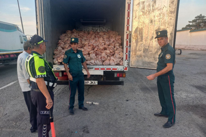 В Самаркандской области пресекли попытку провоза 4,9 тонн испорченного куриного мяса