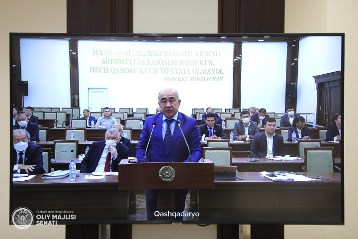 Сенаторы раскритиковали деятельность хокимията Кашкадарьинской области