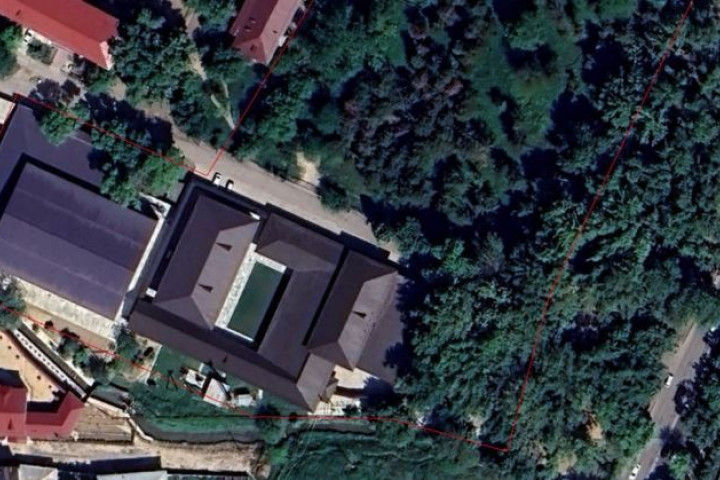 Незаконную вырубку деревьев в Узбекистане поможет определить космический мониторинг