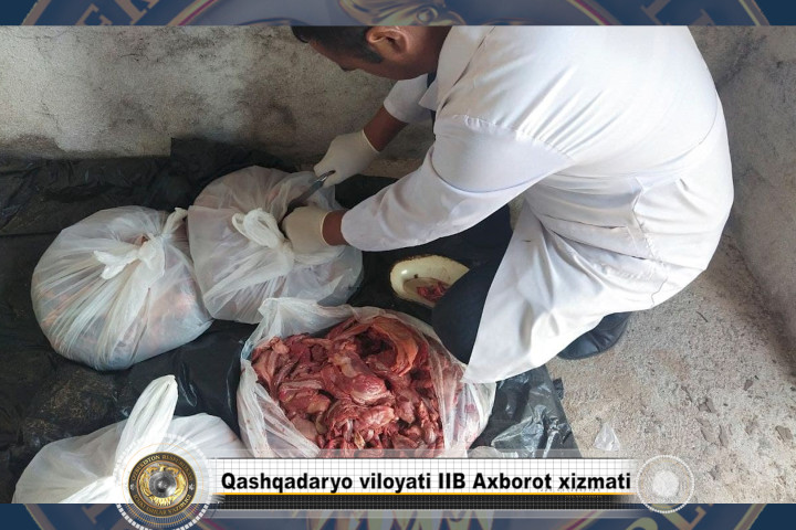 Житель Кашкадарьи перевозил в Ташкент 200 кг мяса непригодного к употрблению