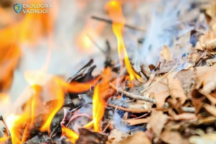 В Минэкологии напомнили о штрафах за сжигание сухой листвы