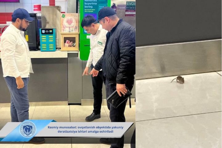 В одном из ТРЦ в Ташкенте посетители заметили мышь на фуд-корте – видео
