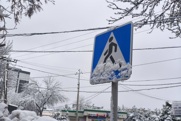 В Узбекистане по некоторым нарушениям дорожного движения будет применяться административное предупреждение