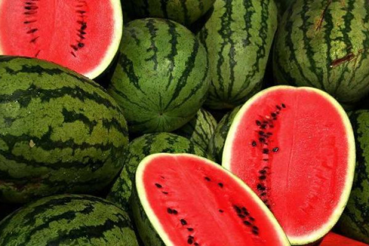 EastFruit: за одну неделю средняя оптовая цена на арбузы в Узбекистане снизилась на треть
