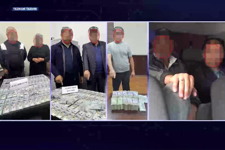 В четырех регионах Узбекистана выявлены факты незаконной продажи земельных участков