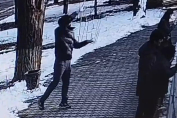 Посетителей, бросавших снежки в тигров, выдворили из Ташкентского зоопарка