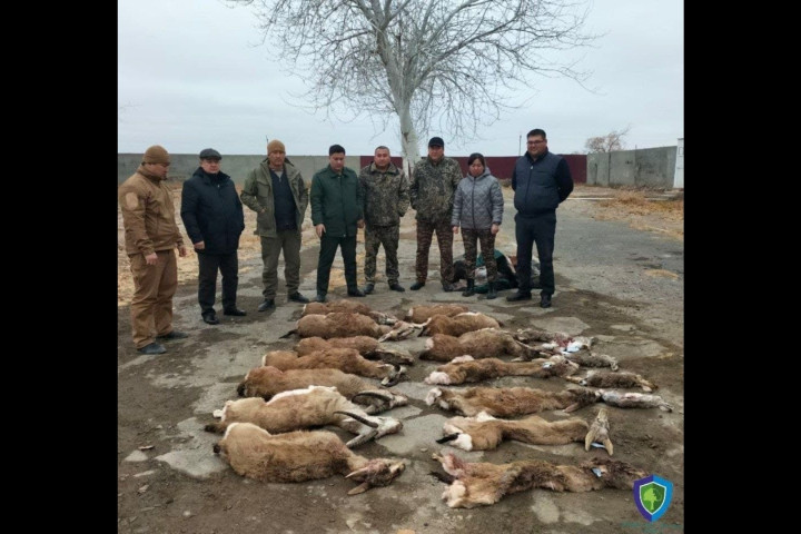 В результате браконьерства в Каракалпакстане животному миру был причинен материальный ущерб в размере 190 миллонов сумов