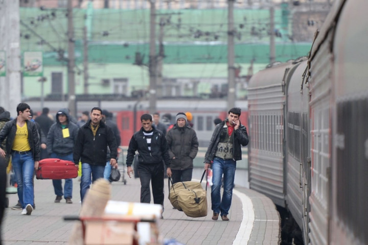 Трудовых мигрантов из Узбекистана и Таджикистана российские работодатели нанимают чаще