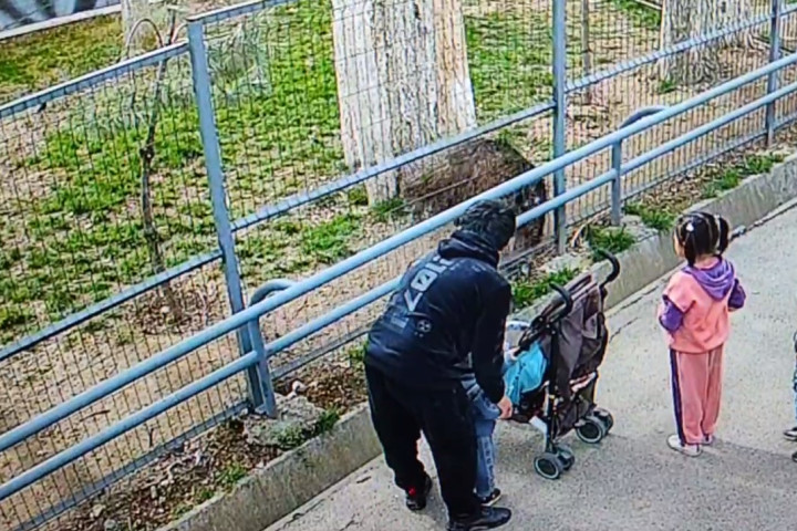 В Ташкентском зоопарке эму чуть не лишился головы, когда потянулся за кормом от посетителей