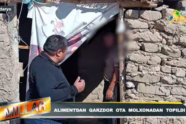 В Навоийской области должника по алиментам нашли прячущимся в хлеву среди коров