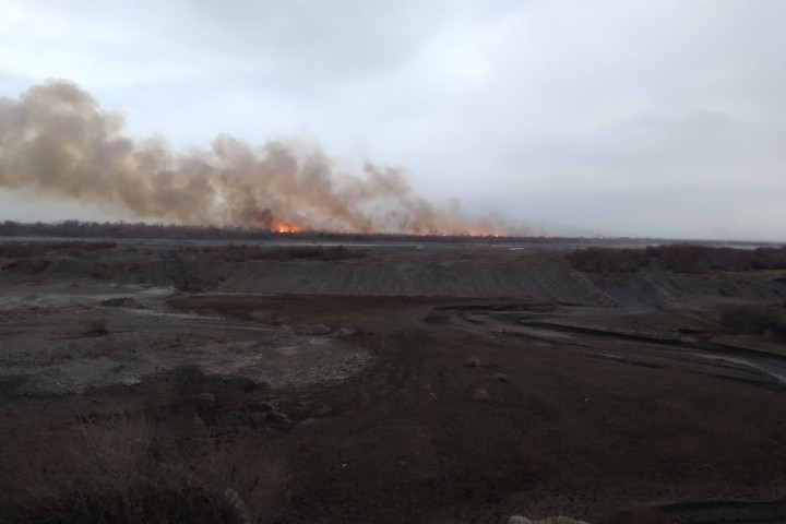 По факту пожара в Зарафшанском нацпарке возбуждено уголовное дело - видео