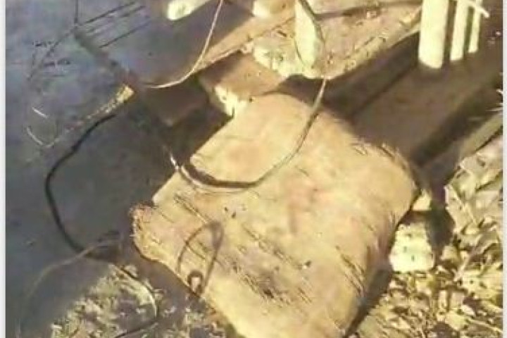 В Бухаре неравнодушные жители предотвратили убийство животных от рук соседа