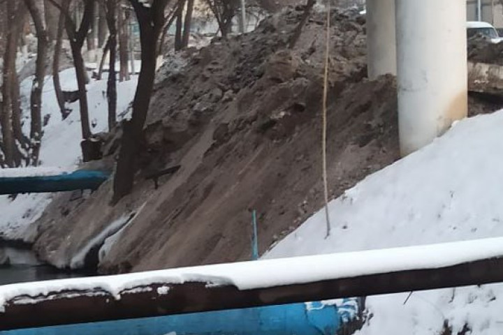 Куда пропали снежные сугробы с обочин дорог в Ташкенте?