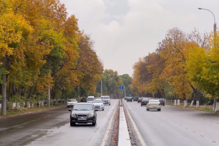 Стало известно, когда в Узбекистане построят платные автодороги