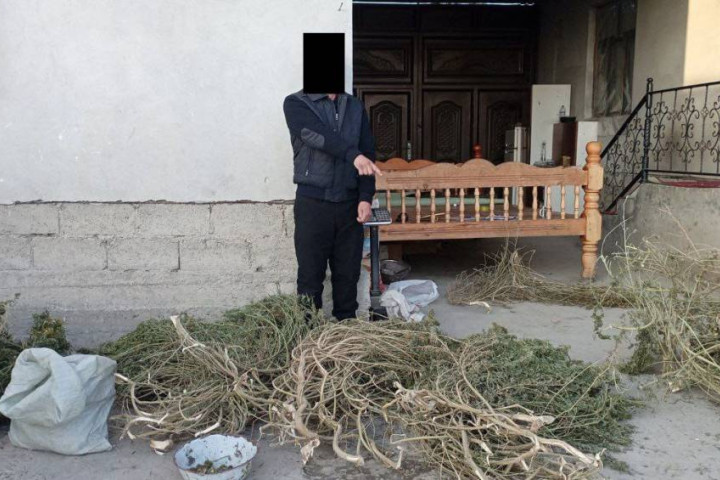 В Самаркандской области правоохранители задержали мужчину, хранившего в доме около 32 кг марихуаны