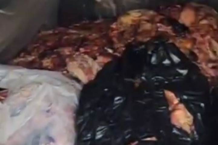 На перевале Камчик в разыскиваемом автомобиле обнаружено мясо животных неизвестного происхождения