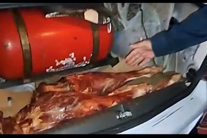 В Самарканде пресекли попытку провоза 300 кг испорченного мяса