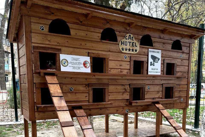 В Ташкенте появился «отель» для уличных кошек