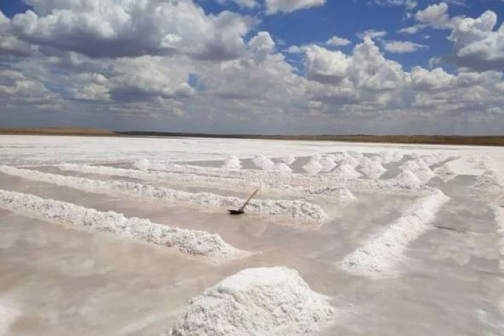 В Каракалпакстане создается промышленная зона Kungrad Salt Free Zone