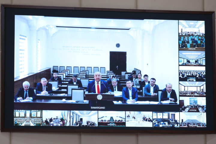 Сенаторов обеспокоила ситуация с отставанием по разработке 8 законопроектов в сфере прав человека
