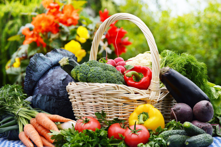Госкомстат опубликовал цены на основные продукты питания