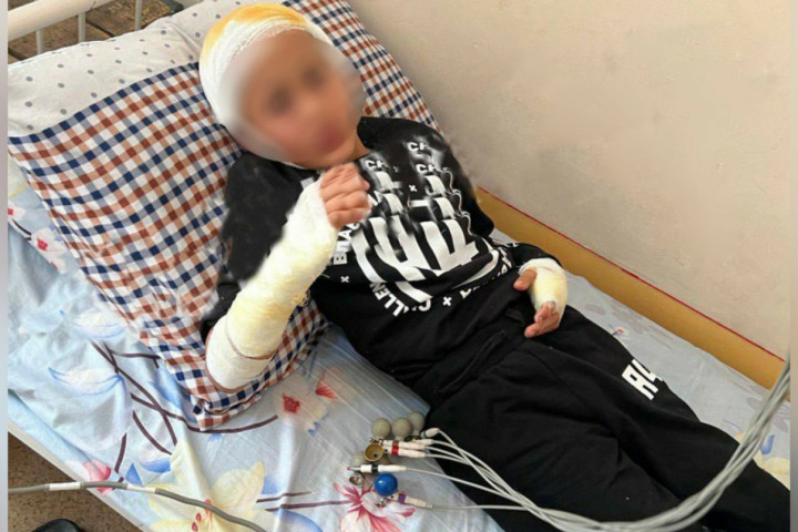 Второклассника одной из школ Сырдарьи ударило током при попытке спасти щенка
