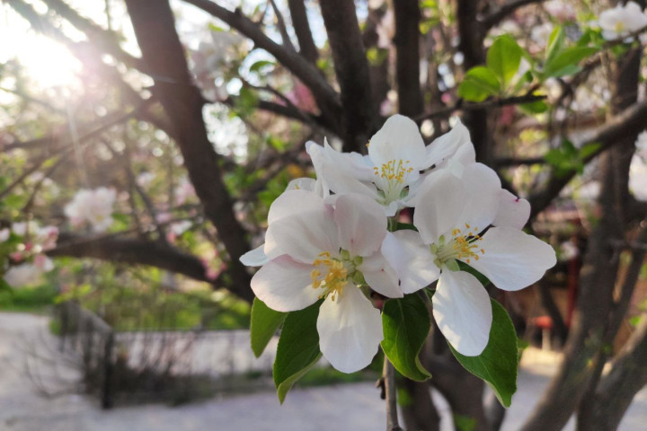 Синоптики прогнозируют жару на выходных