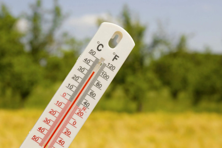 В Узбекистане на этой неделе ожидается повышение температуры до +35°