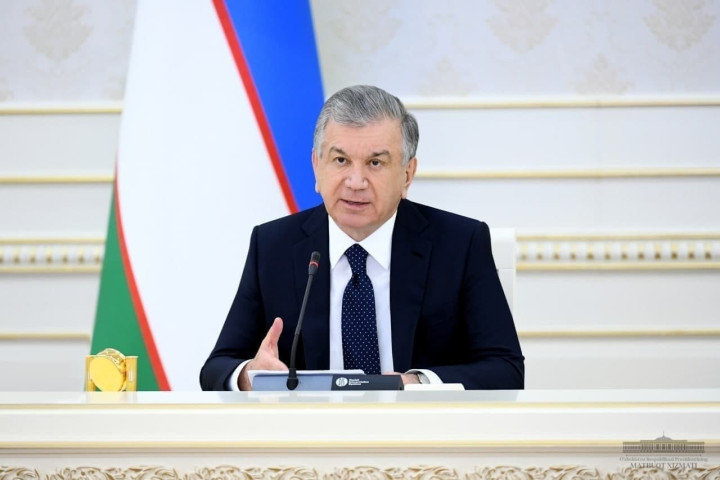 Президент провел видеоселекторное совещание по вопросам улучшения экологической ситуации, эффективной организации охраны деревьев и расширению зеленых зон