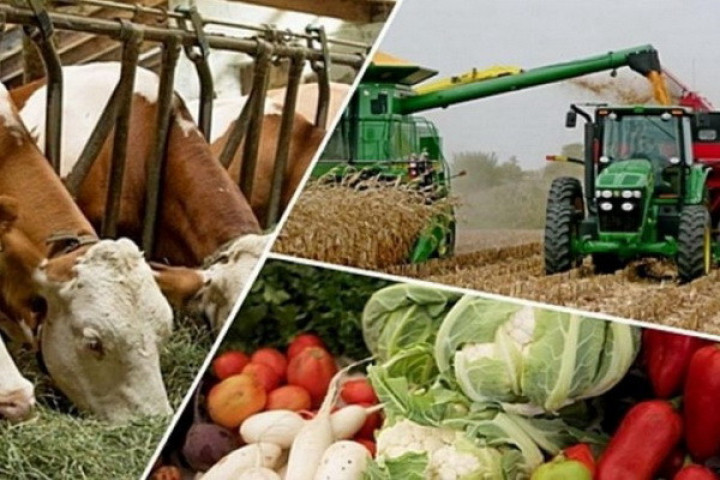 В Узбекистане создан центр в сфере продовольствия и сельского хозяйства