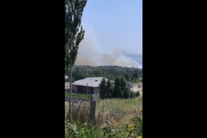 В Ахангаране произошел пожар в лесхозе
