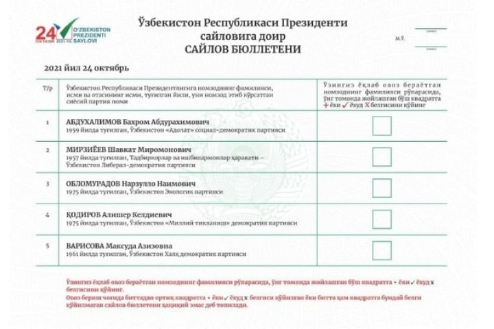 Как голосовать на выборах? Инструкция по применению