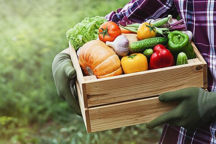 В Узбекистане на поддержку производителей сельхозпродукции выделят 300 млрд сумов