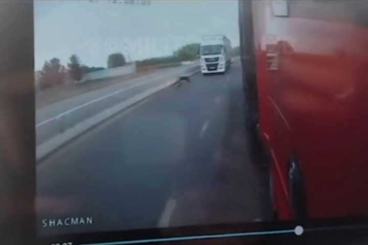 В Самаркандской области мужчина погиб под колесами фуры