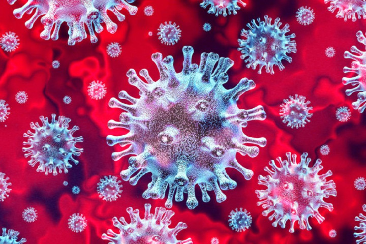 За минувшие сутки в стране были выявлены 272 новых случая COVID-19