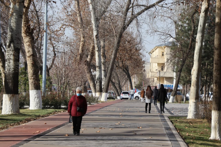 Погода Узбекистана остается верна новогодним традициям