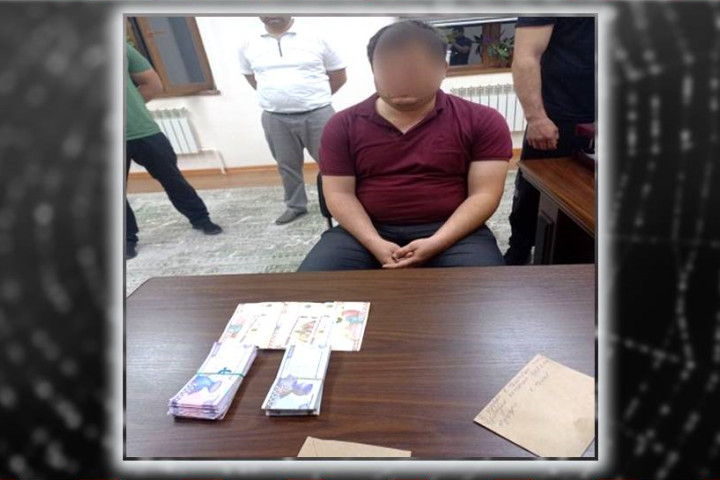 В Навои задержан руководитель районного отдела экологии и охраны окружающей среды