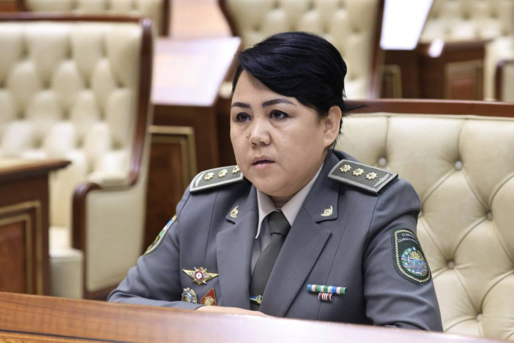 Сенат: На одного инспектора-психолога приходится от 3 до 10 школ